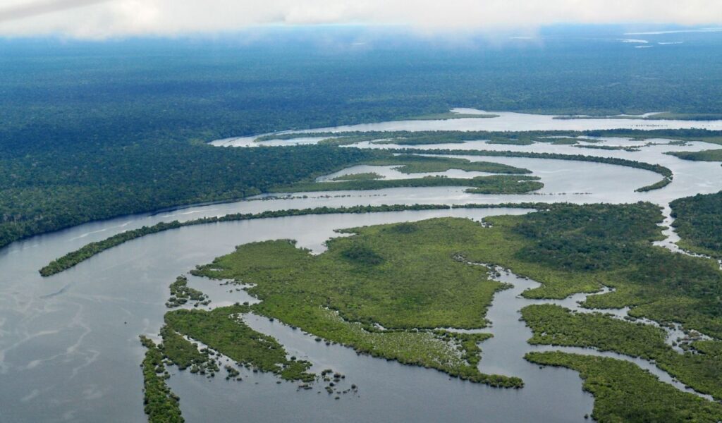 Aerial view of winding Amazon River through lush rainforest in Ecuador.