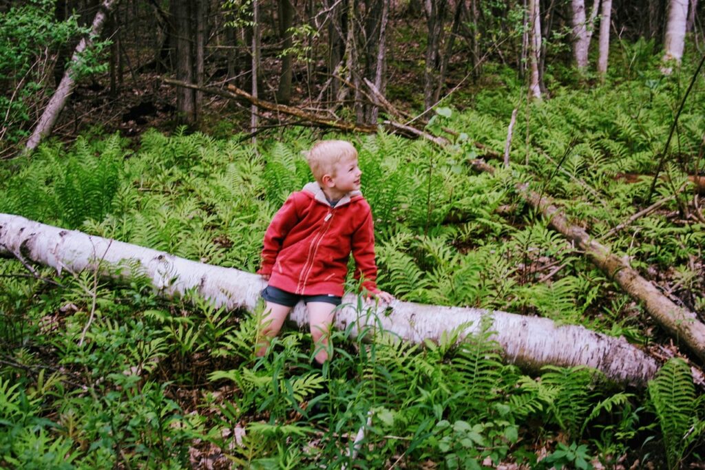 Kid Hiking