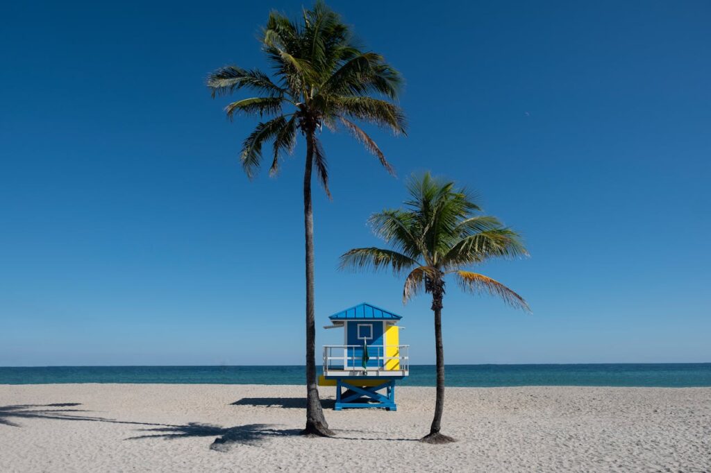 Floride, États-Unis
Scenic Florida Beach with Palm Trees and Lifeguard Hut