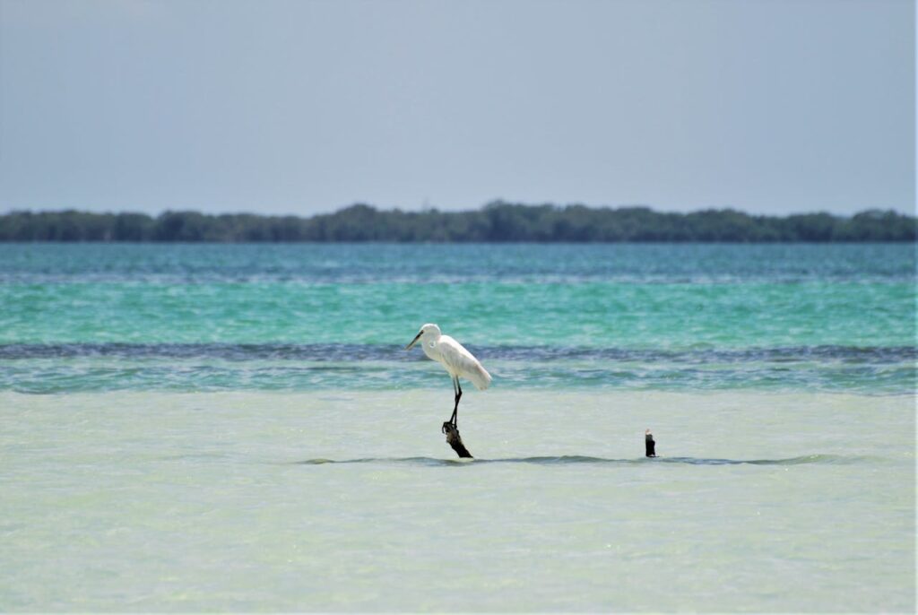 Isla Holbox, Mexico
