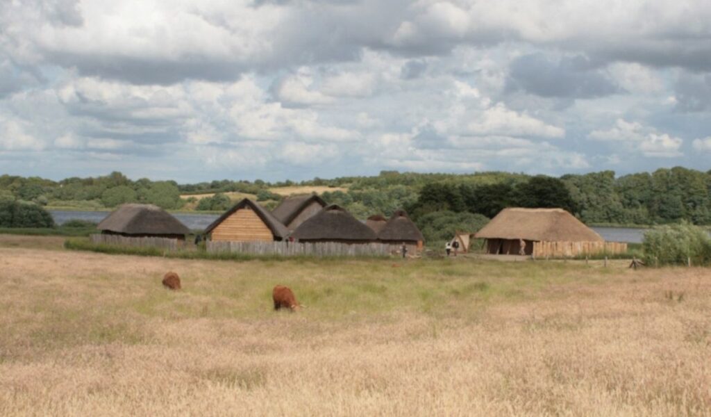 Reconstruction of Viking-age Hedeby, Germany, showing thatched-roof houses, grazing cattle, and surrounding forest.