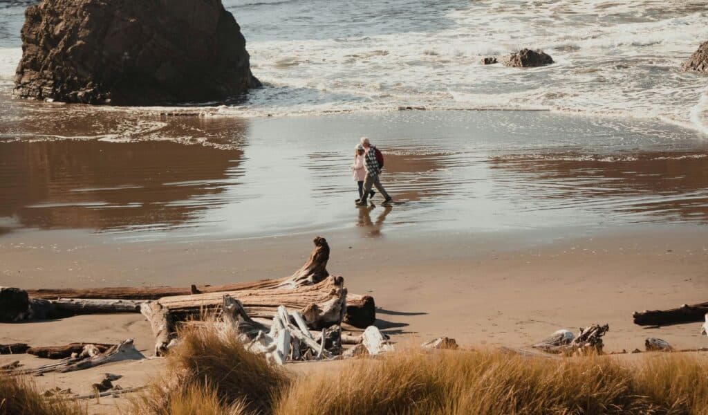Elderly couple walking hand-in-hand along a sandy beach with driftwood and sea stacks, as gentle waves wash up on the shore.