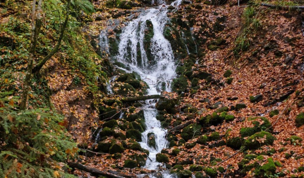 A small cascading waterfall flows over moss-covered rocks surrounded by autumn leaves and dense forest in Decorah, Iowa.