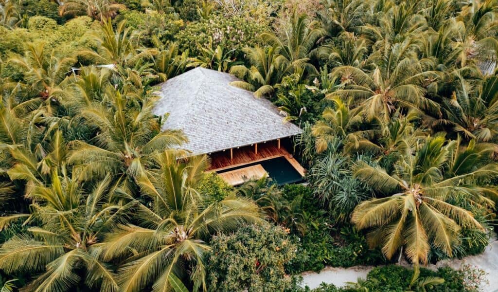 Aerial view of a tropical villa with a wooden roof and private pool, surrounded by dense palm trees and lush greenery.
