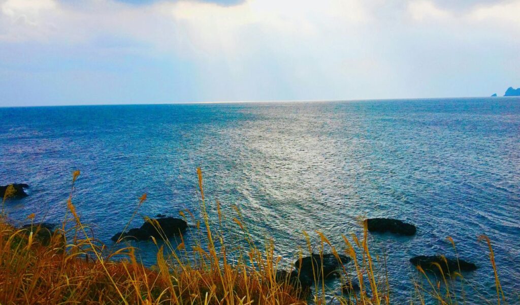 Golden coastal grass and dark volcanic rocks frame a calm blue sea under a cloudy sky on Jeju Island, South Korea.