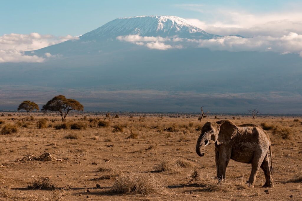 Serengeti National Park, Tanzania