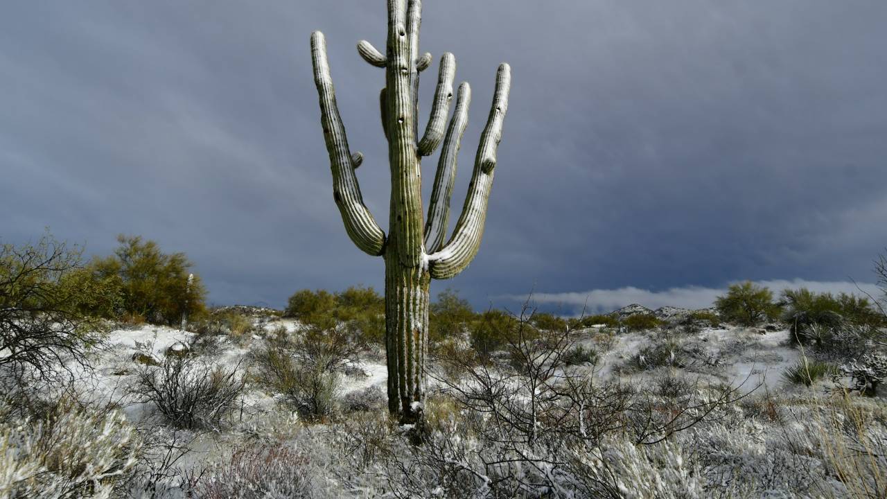 Cave Creek Arizona