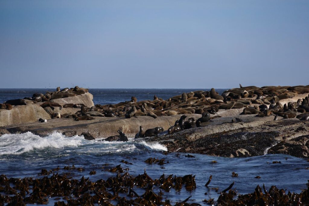 Robben Island, South Africa