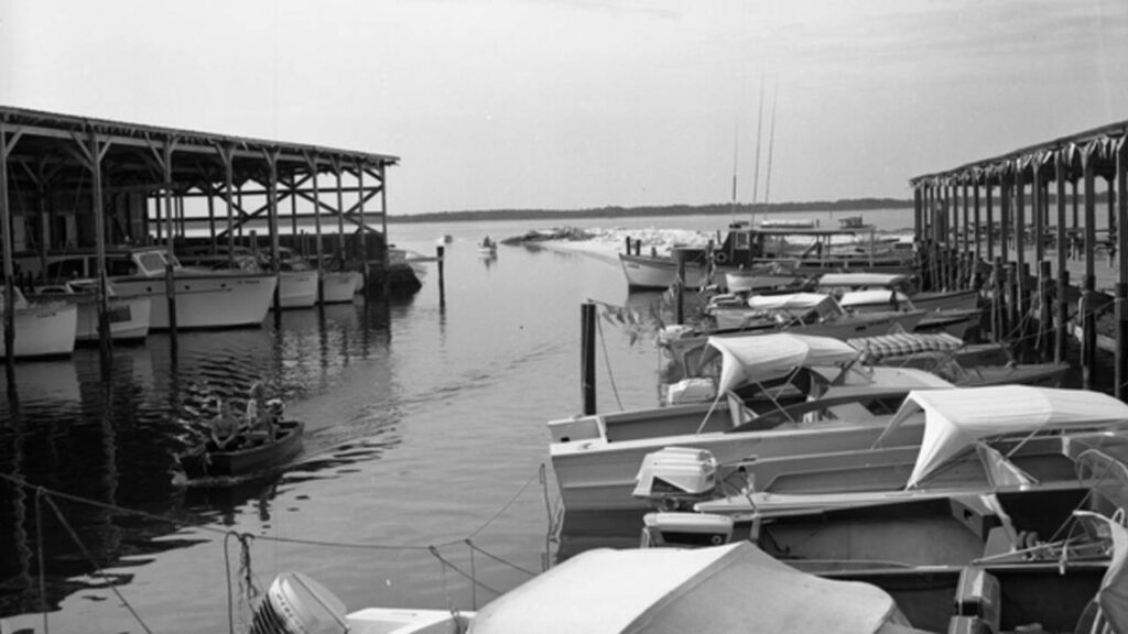 Alligator Point