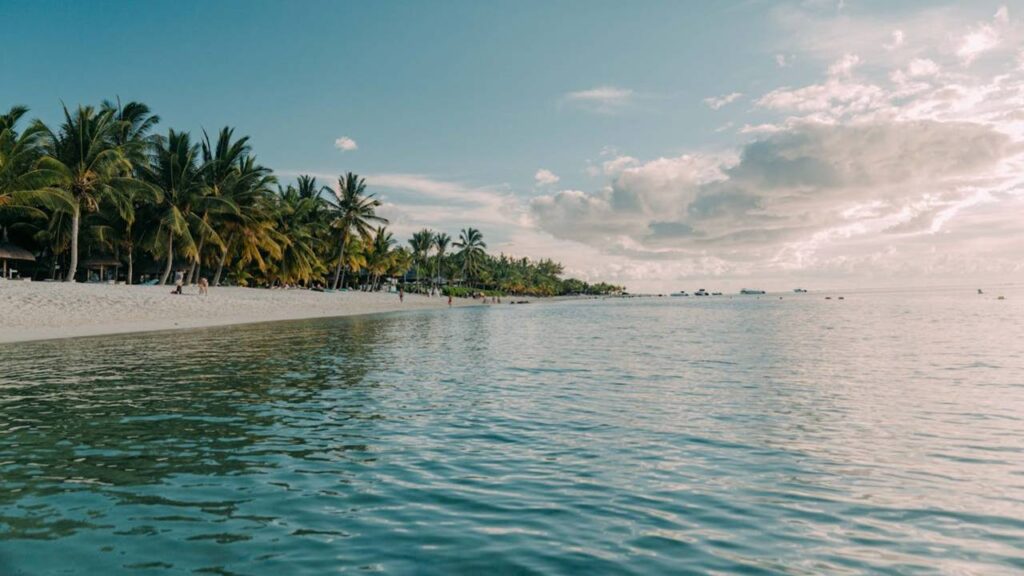 Palm Tree Beach