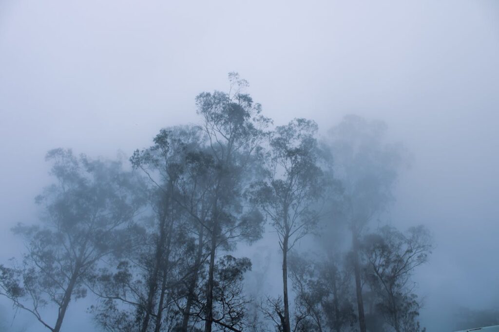 Kodaikanal, Tamil Nadu