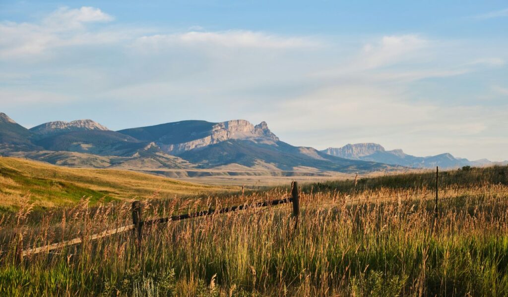 Golden grasslands stretch toward the rugged Mission Mountains, with soft evening light casting shadows across the rolling hills.