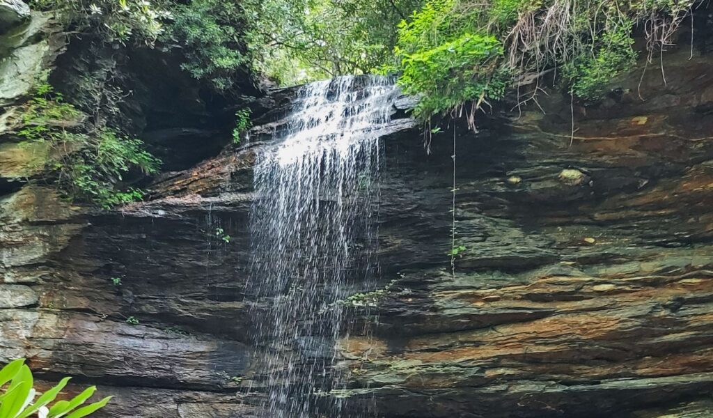 Moore Cove Falls spilling gently over a rocky ledge into lush forest surroundings in North Carolina