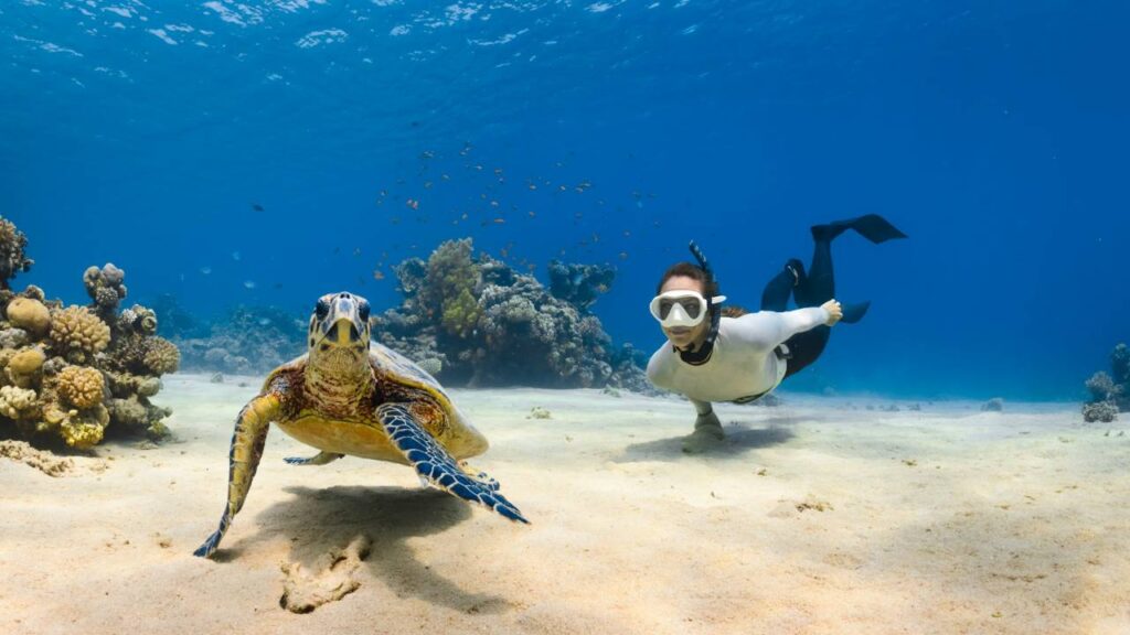 Scuba Dive