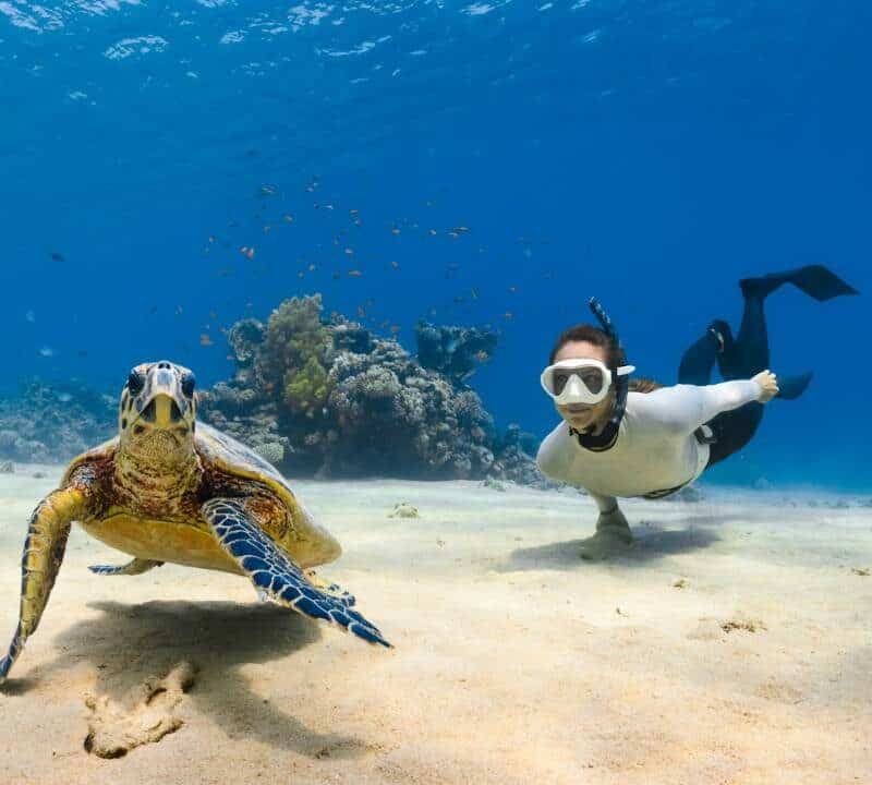 Scuba Dive