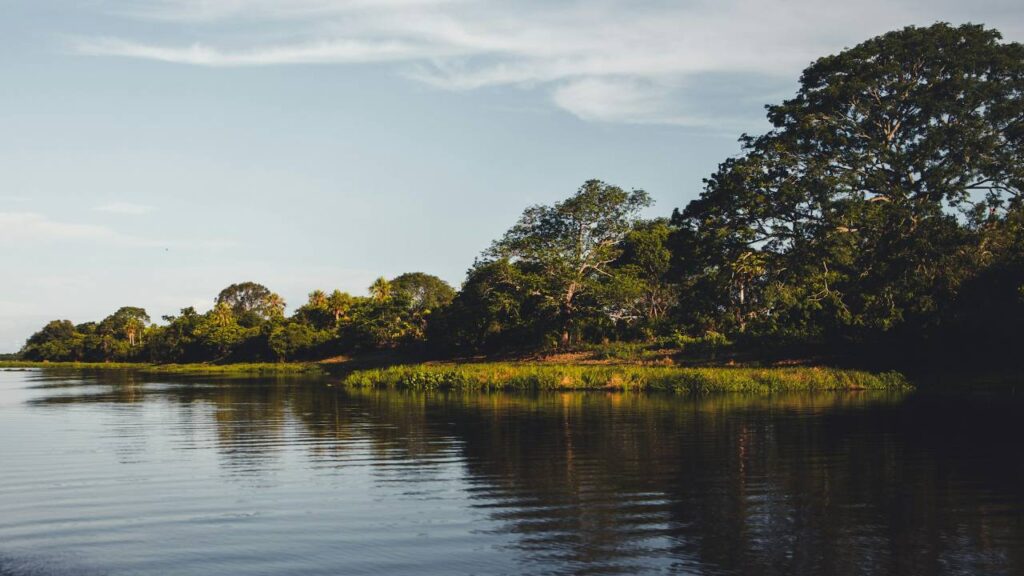The Pantanal Brazil