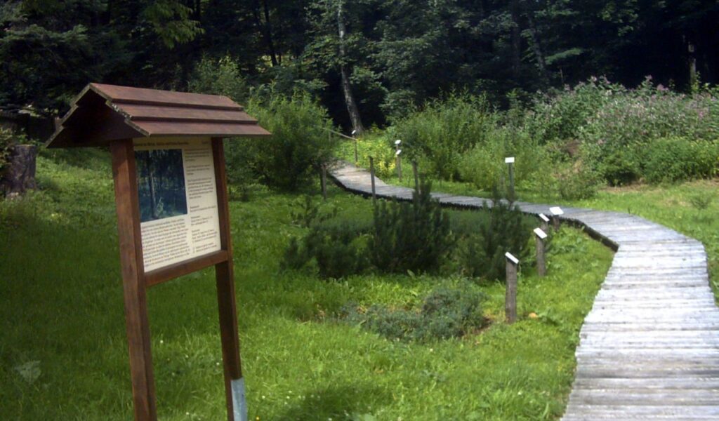 A wooden nature trail curves through a lush, green forested area with educational signs along the path and a large information board at the entrance.