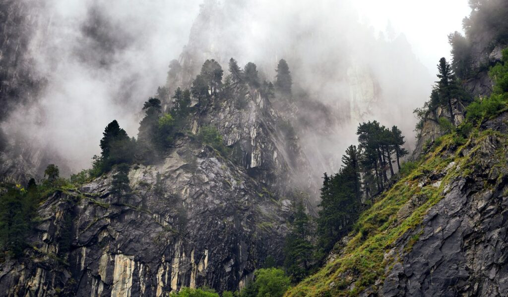 Misty mountain cliffs covered with pine trees and lush greenery in the Bavarian Alps near Partnach Gorge, creating a dramatic and serene landscape.