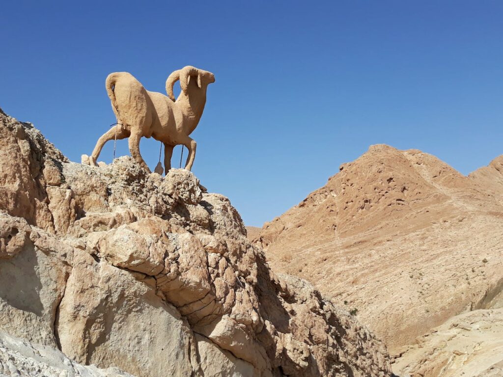 Chebika Oasis, Tunisia