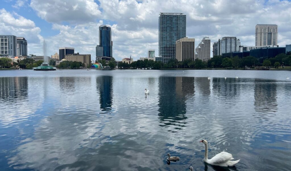 Swan and ducklings swimming on Lake Eola with Orlando skyline, fountain, and clouds reflected in the water.