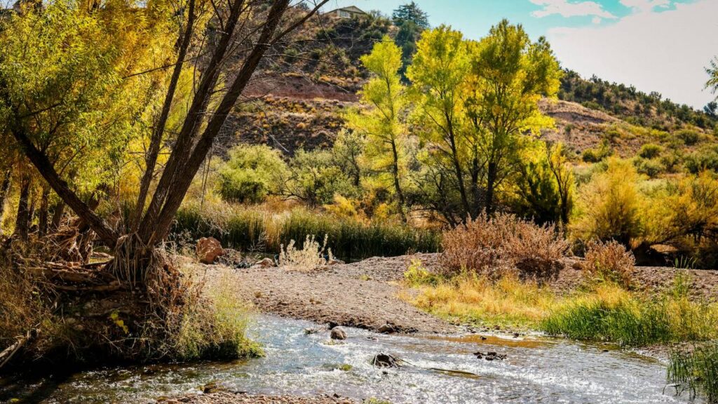 Cottonwood Arizona