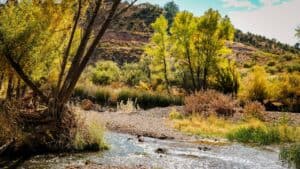 Cottonwood Arizona