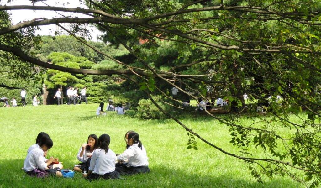 A group of students in school uniforms sit on the grass enjoying a picnic under the shade of a large tree in a lush green park, while others stroll in the background.