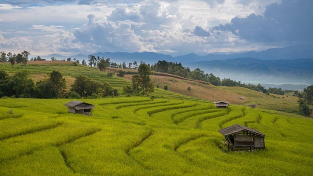 Chiang Mai, Thailand