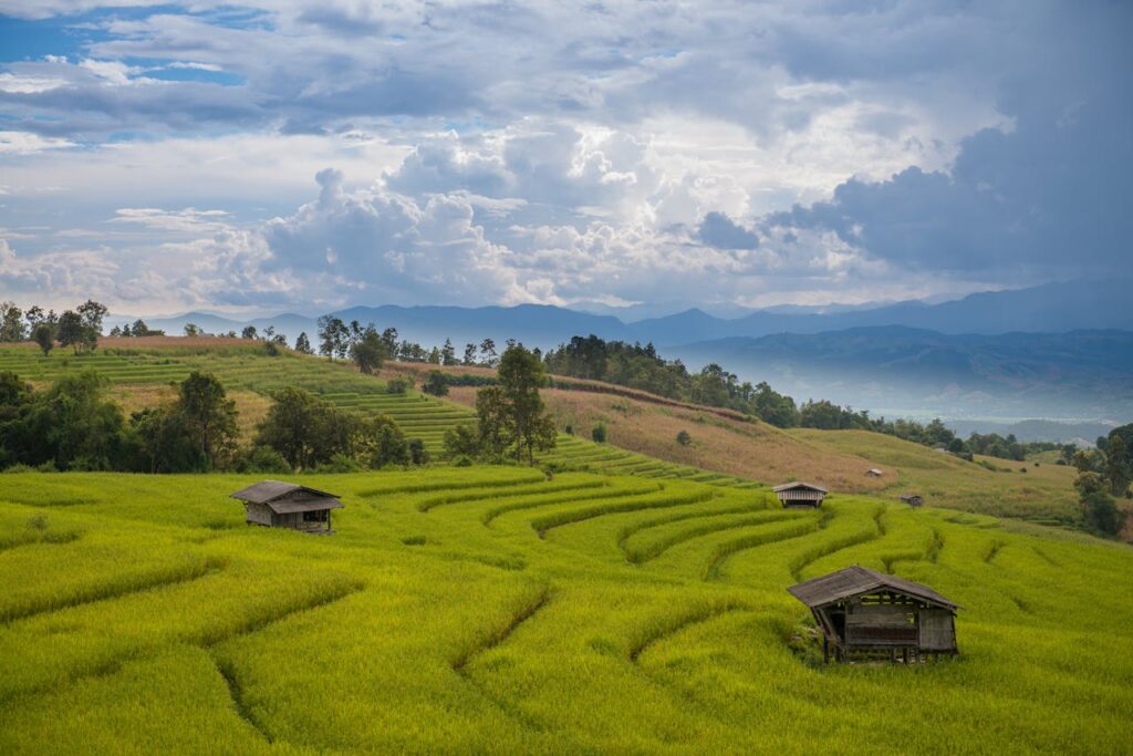Chiang Mai, Thailand