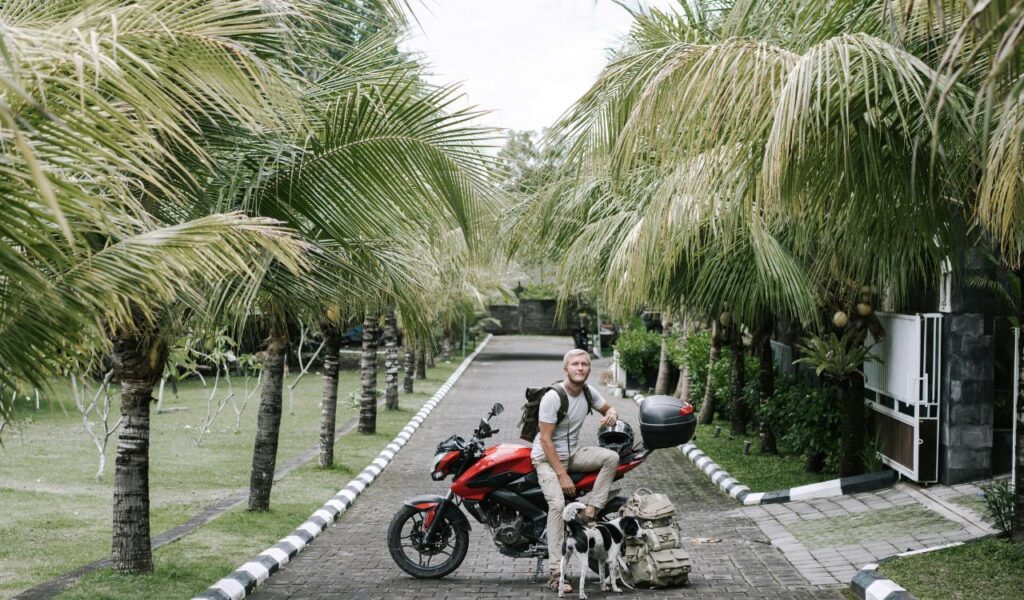 Man with a backpack kneels beside two dogs and a red motorcycle on a palm-lined path, taking a break during travel.