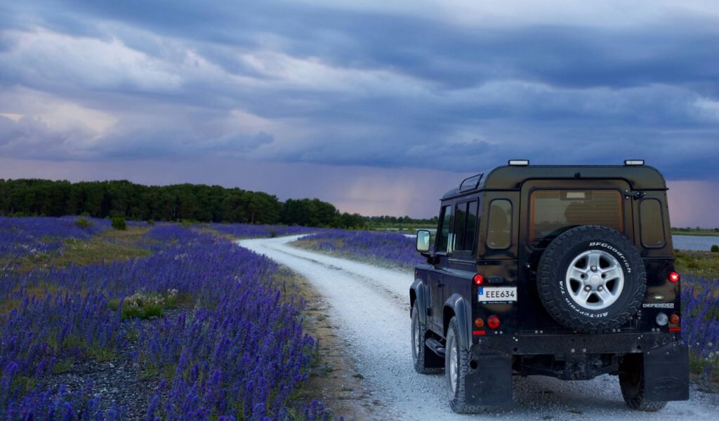 A black SUV drives along a winding gravel road through a vibrant purple wildflower field under a dramatic cloudy sky.