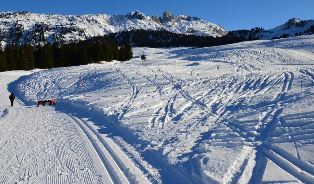 Snow-covered slopes with ski and snowboard tracks at Snowshoe Mountain Resort, with people walking and snowy peaks in the background.