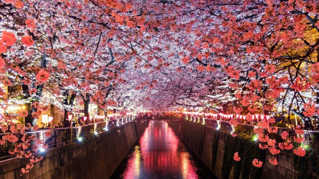 Japan