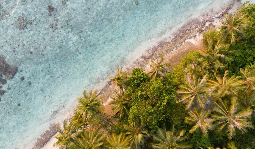 Aerial view of a tropical shoreline with crystal-clear water, scattered coral, and dense palm trees lining the sandy beach.