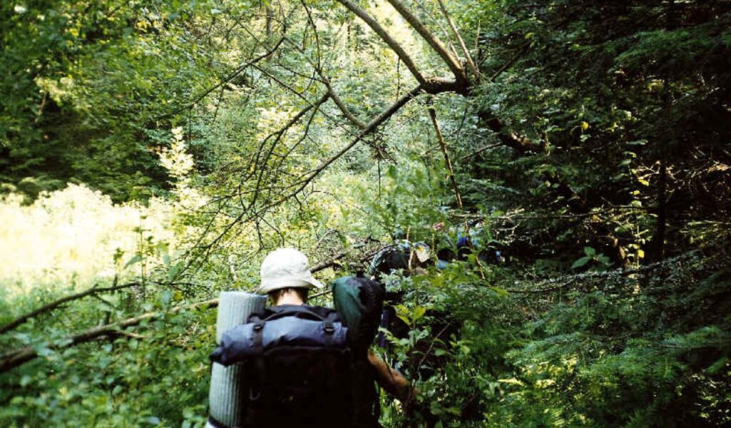 Backpacker carrying heavy gear through dense forest trail, surrounded by trees and sunlight filtering through leaves.