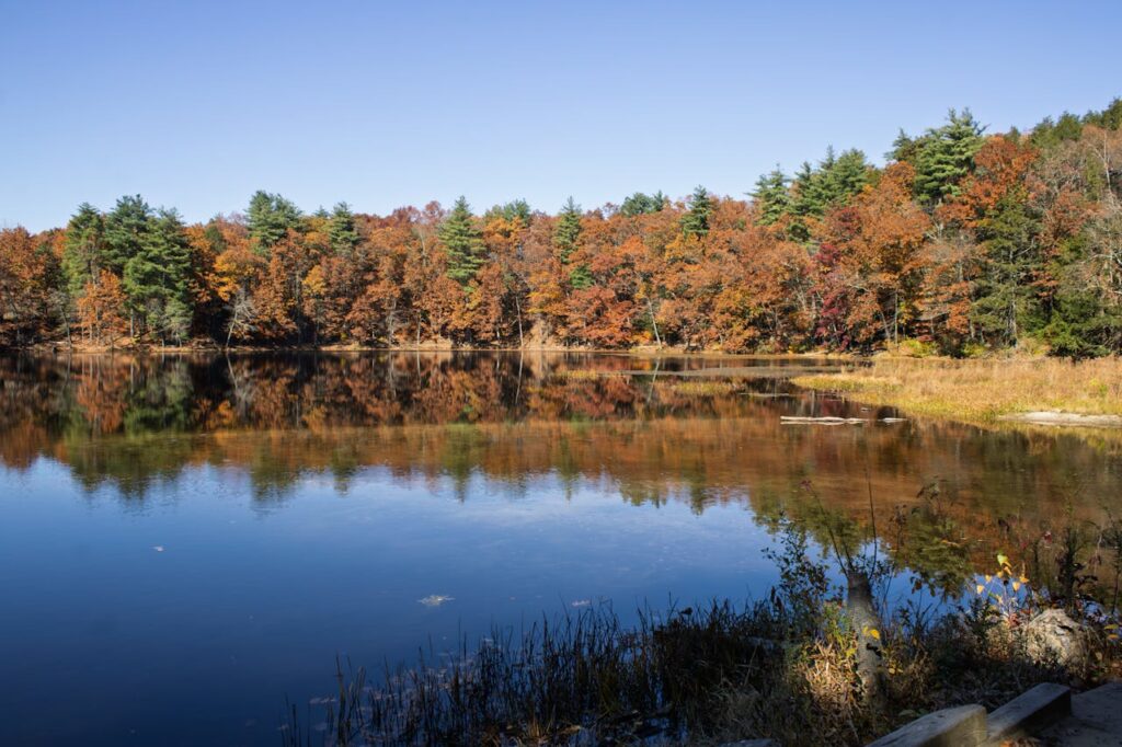 Amherst, Massachusetts