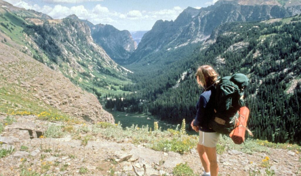 Backpacker with large pack overlooks a deep forested valley surrounded by dramatic mountain peaks and wildflowers.