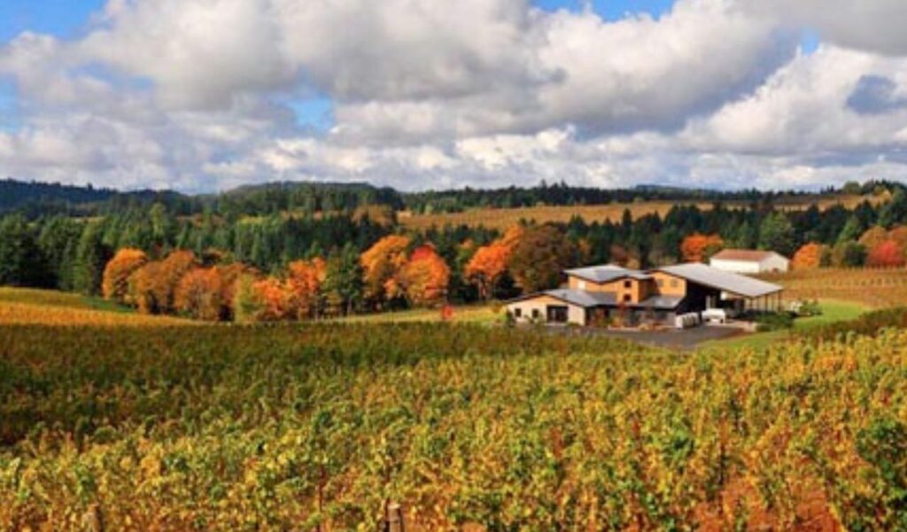 A modern winery building nestled among vibrant autumn vineyards, surrounded by forested hills under a partly cloudy sky.