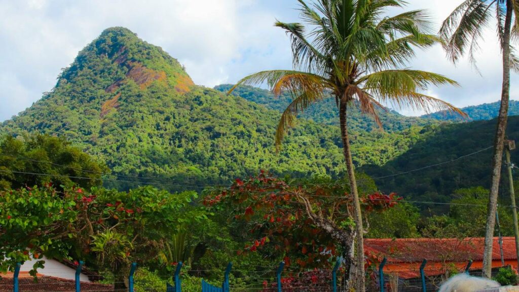 Ilha Grande Brazil