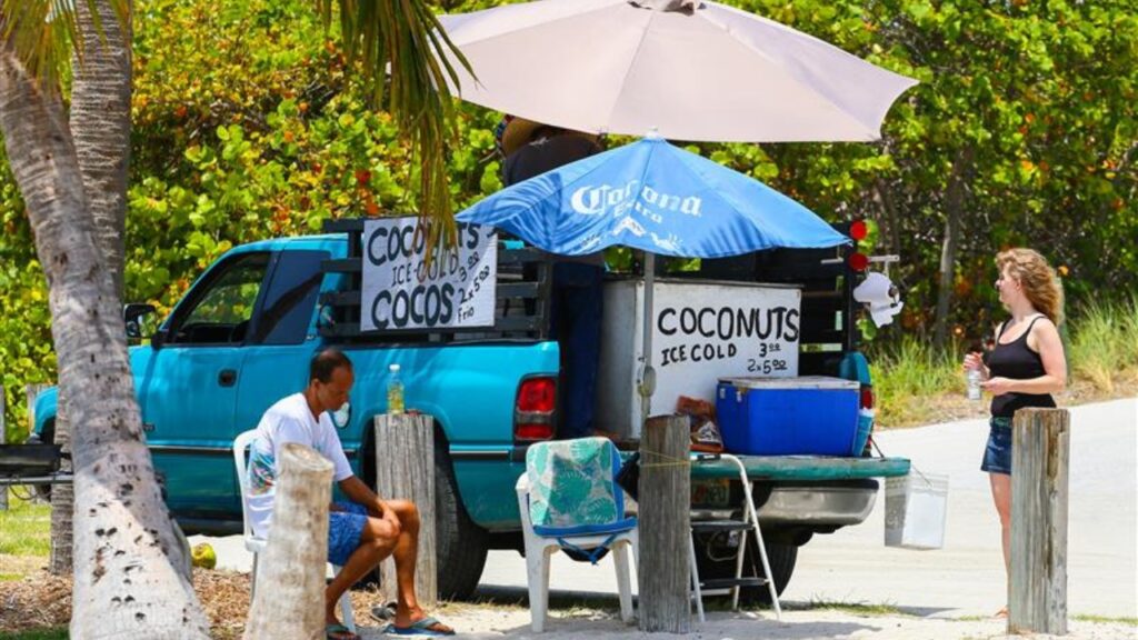 BIG PINE KEY, USA - MAY 10, 2015: Man selling icecold coconuts out of a pick-up truck in Veterans Memorial Park in Little Duck Key. A woman is standing in front of it considering buying a coconut.