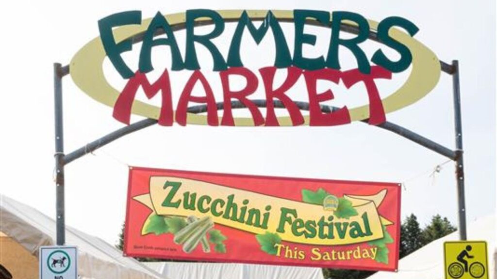 Homer, AK / USA - August 10, 2019: The Zucchini Festival at the Homer Farmers Market
