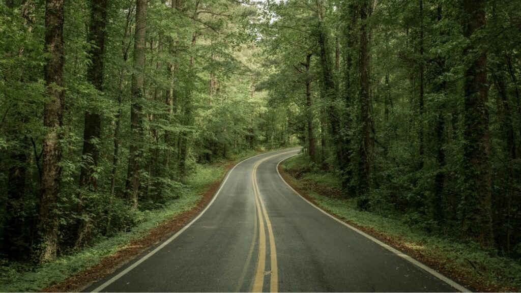 Tennessee Mountain Road