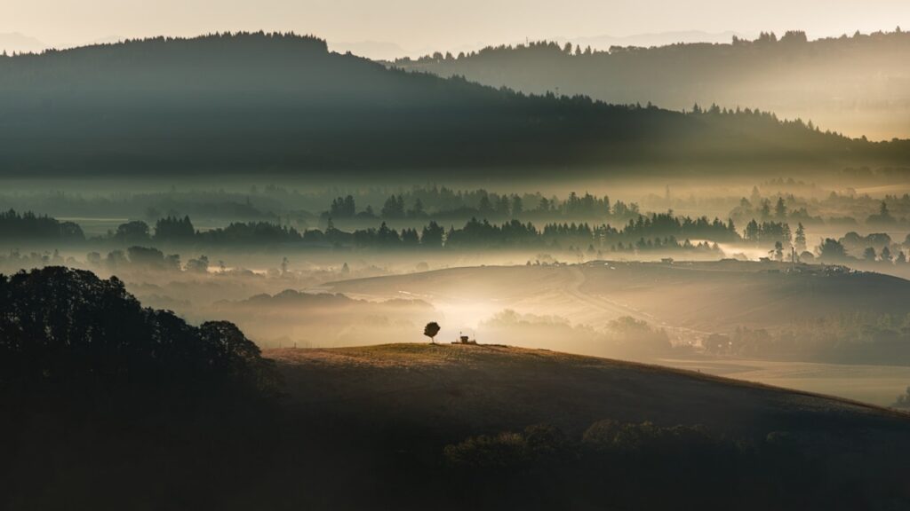 McMinnville, Oregon