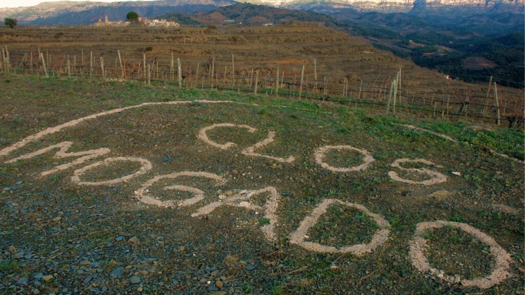 Clos Mogador – Priorat, Spain