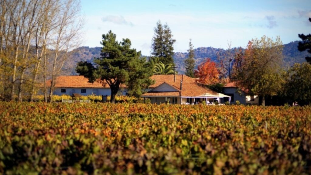 Viu Manent – Colchagua Valley, Chile