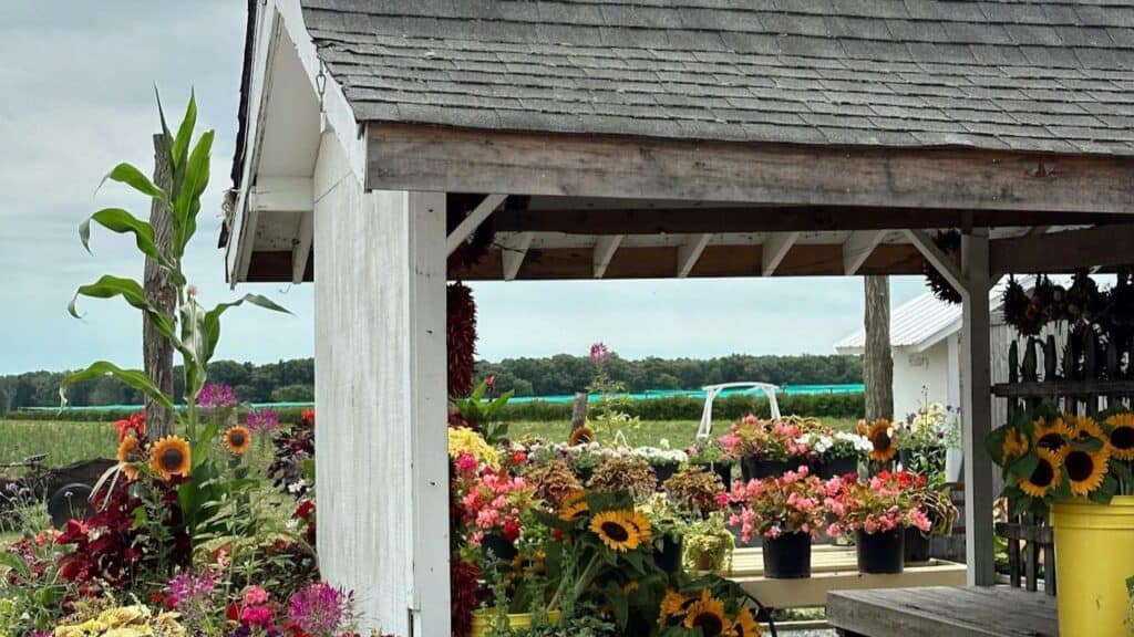 North Fork, Long Island, New York