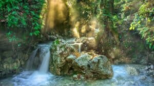 Sinharaja Rainforest Reserve