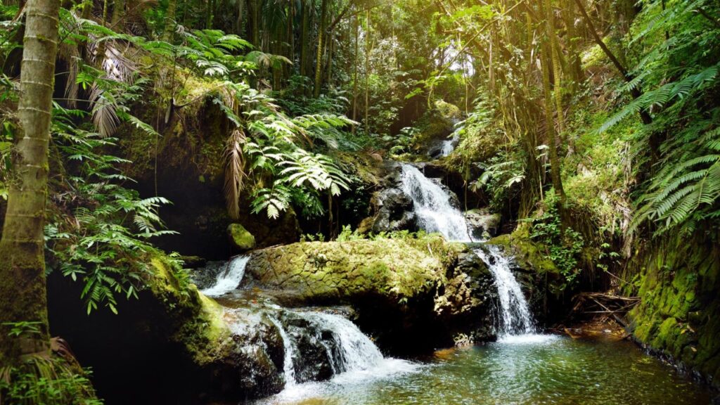 Fabulous Onomea Falls located in Hawaii Tropical Botanical Garden on the Big Island of Hawaii, USA 