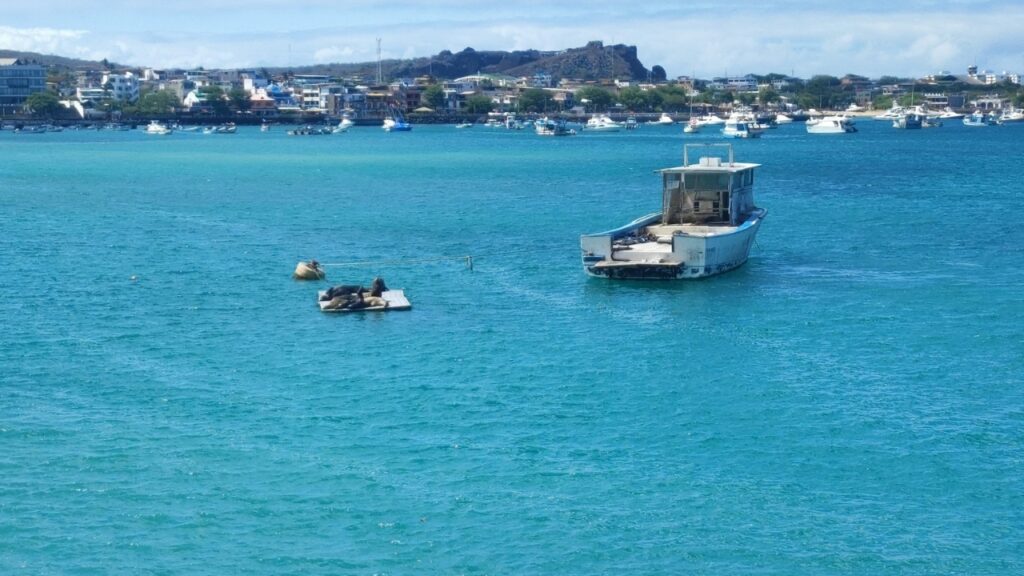 Galapagos Island boat