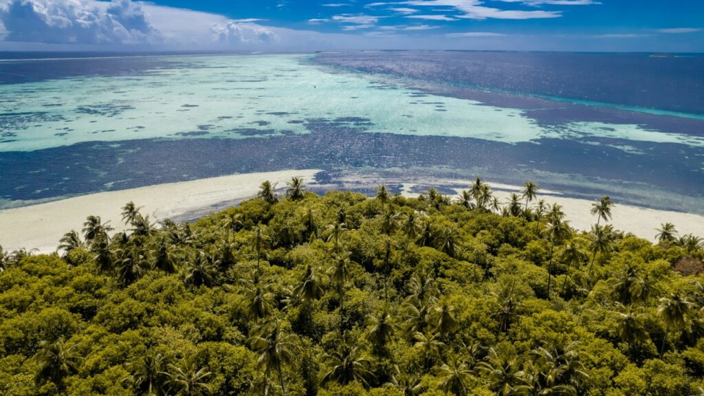 Vaadhoo Sea of Stars, Maldives